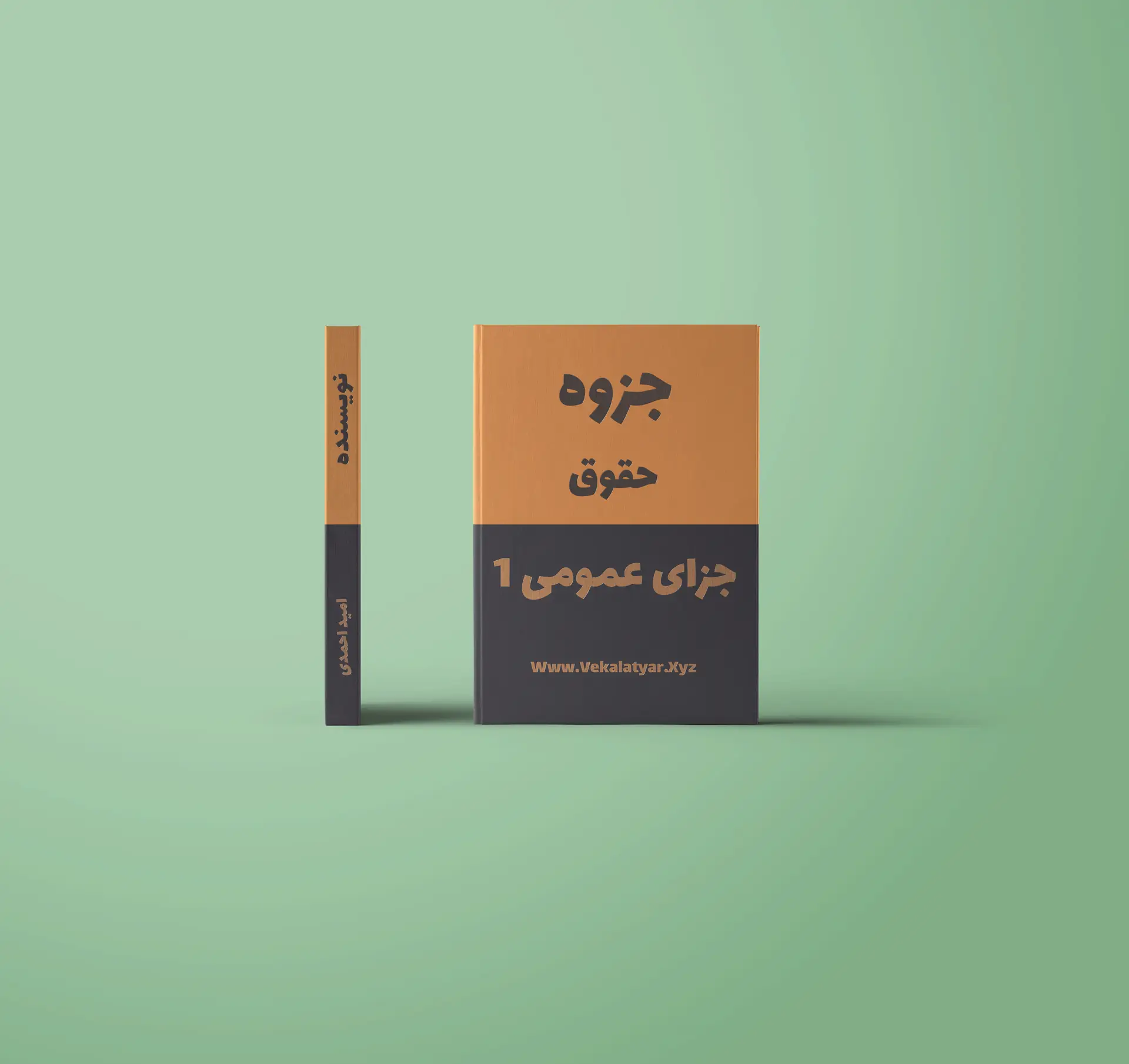 دانلود جزوه حقوق جزای عمومی 1, جزوه خلاصه شده جزای عمومی 1, دانلود جزوه جزای عمومی 1, جزوه جزای عمومی 1 در ده صفحه